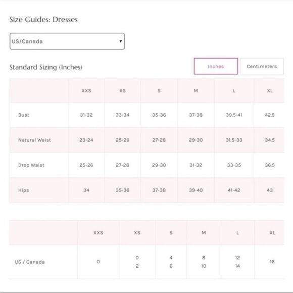 NWTGS Free People Daphne Velvet Mini Dress with Corset Back in Roan Rouge - Picture 11 of 13